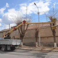 Գավառ համայնքում ընթանում են ծառերի էտման և ձևավորման աշխատանքներ