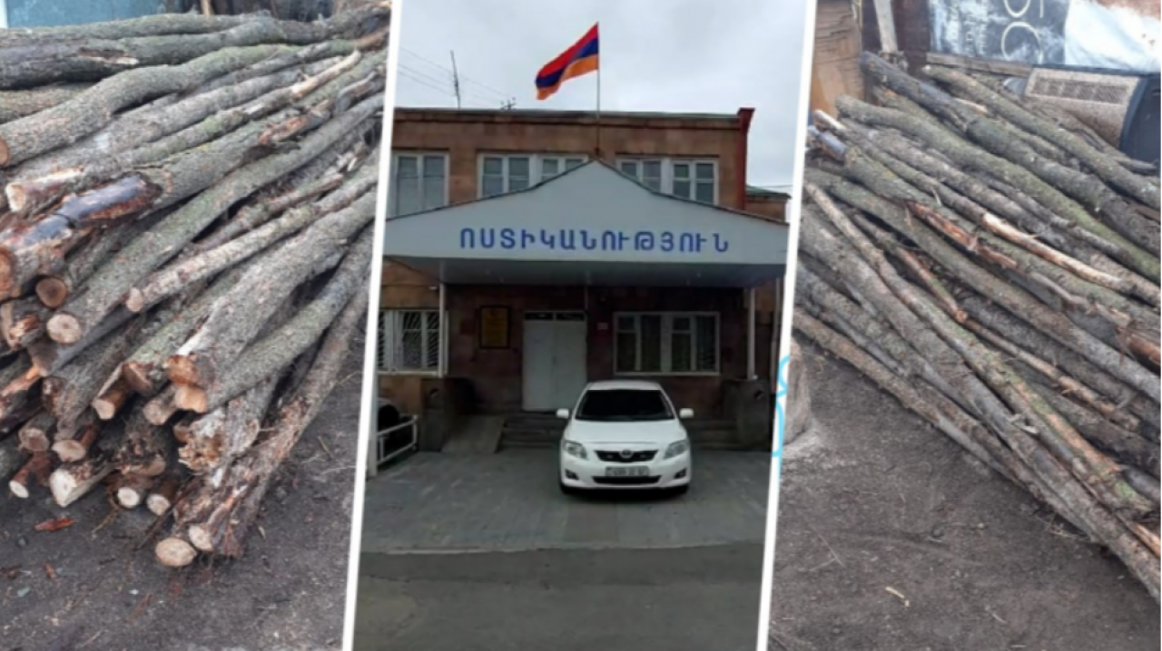 Հատել էր 104 բարդի. Վարդենիսի համայնքային ոստիկանների բացահայտումը