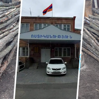 Հատել էր 104 բարդի. Վարդենիսի համայնքային ոստիկանների բացահայտումը