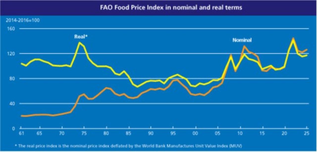 FAO Food Price Index remained/s stable in March