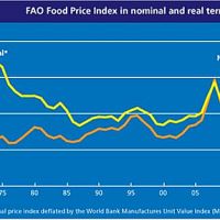 FAO Food Price Index remained/s stable in March