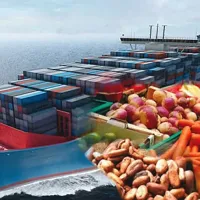 ԵՄ-ն հայտարարել է 2024-ին ագրոպարենային ապրանքների արտահանման ռեկորդային ցուցանիշի մասին