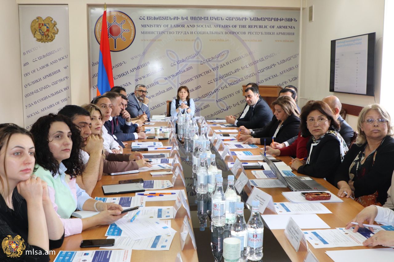 ԱՍՀ նախարարությունում քննարկվել են խնամատարության գործընթացի բարեփոխումներին առնչվող հարցեր