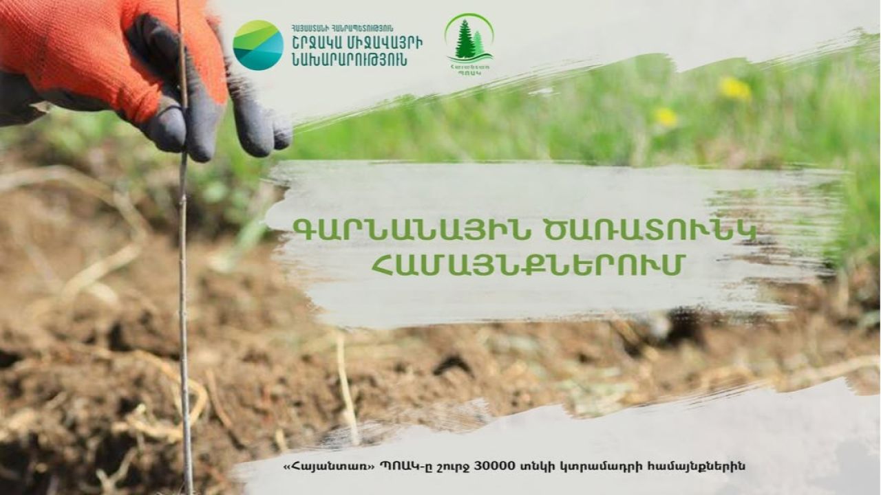 Հանրապետության մարզերում կազմակերպվում է ծառատունկ