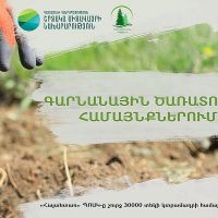 Հանրապետության մարզերում կազմակերպվում է ծառատունկ