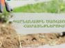 Հանրապետության մարզերում կազմակերպվում է ծառատունկ