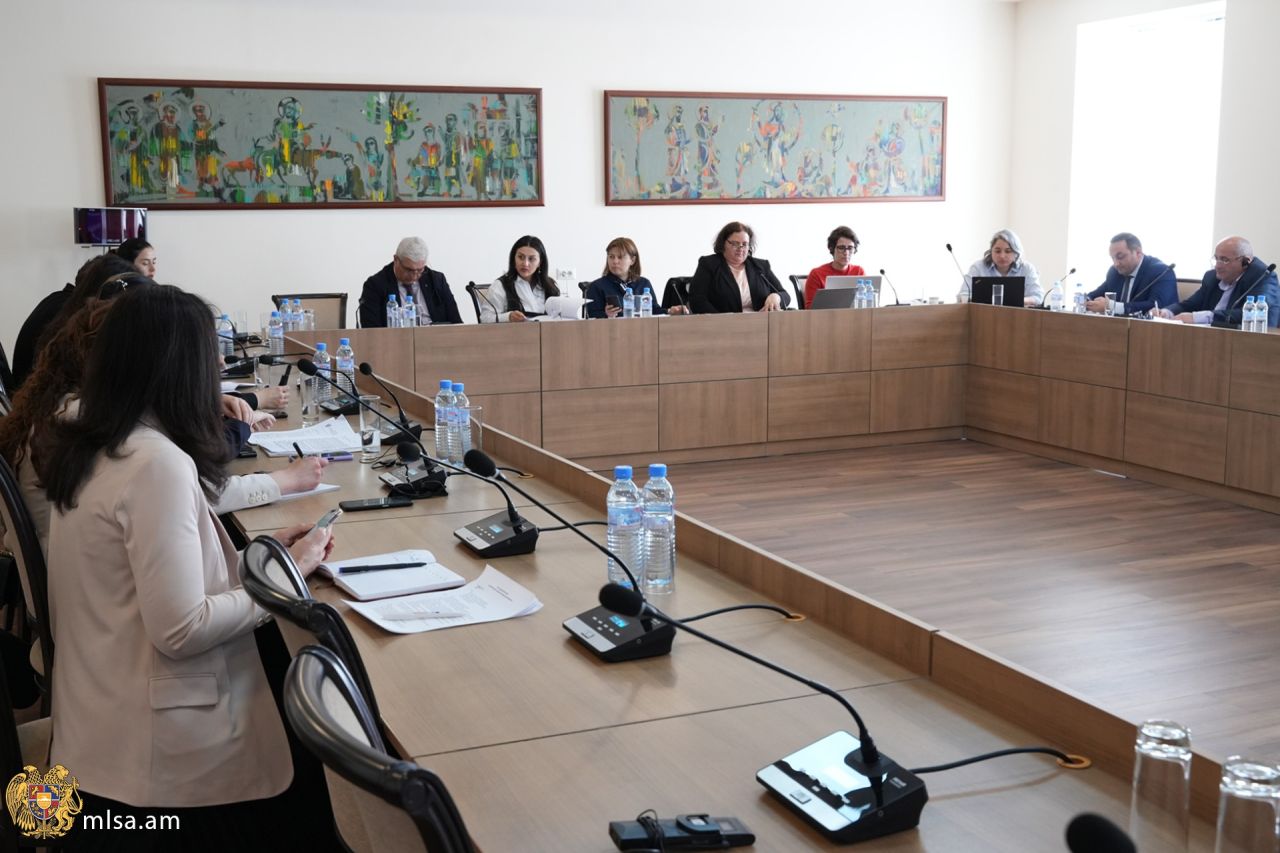 Տեղի է ունեցել հանդիպում Եվրոպայի խորհրդի Մարդկանց թրաֆիքինգի դեմ պայքարի հարցերով փորձագետների խմբի հետ