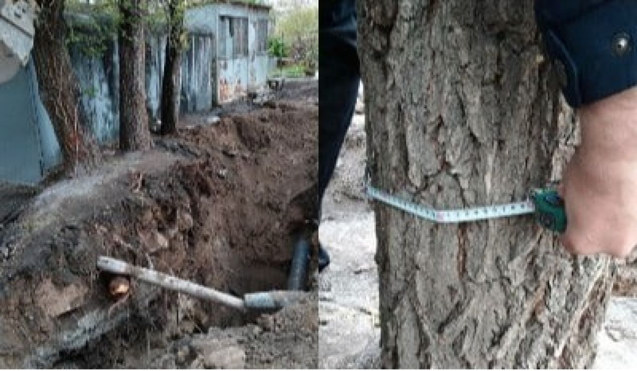 Աջափնյակում ծառերի արմատների վնասման դեպքով ԲԸՏՄ-ն հաղորդում է ներկայացրել Քննչական կոմիտե
