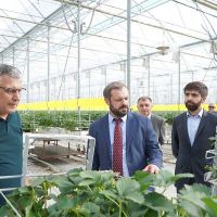 Գևորգ Պապոյանը  այցելել է Կոտայքի մարզում գործող «Ռոք Բերի» ՍՊԸ-ի ջերմոցային տնտեսություն և ինտենսիվ այգիներ