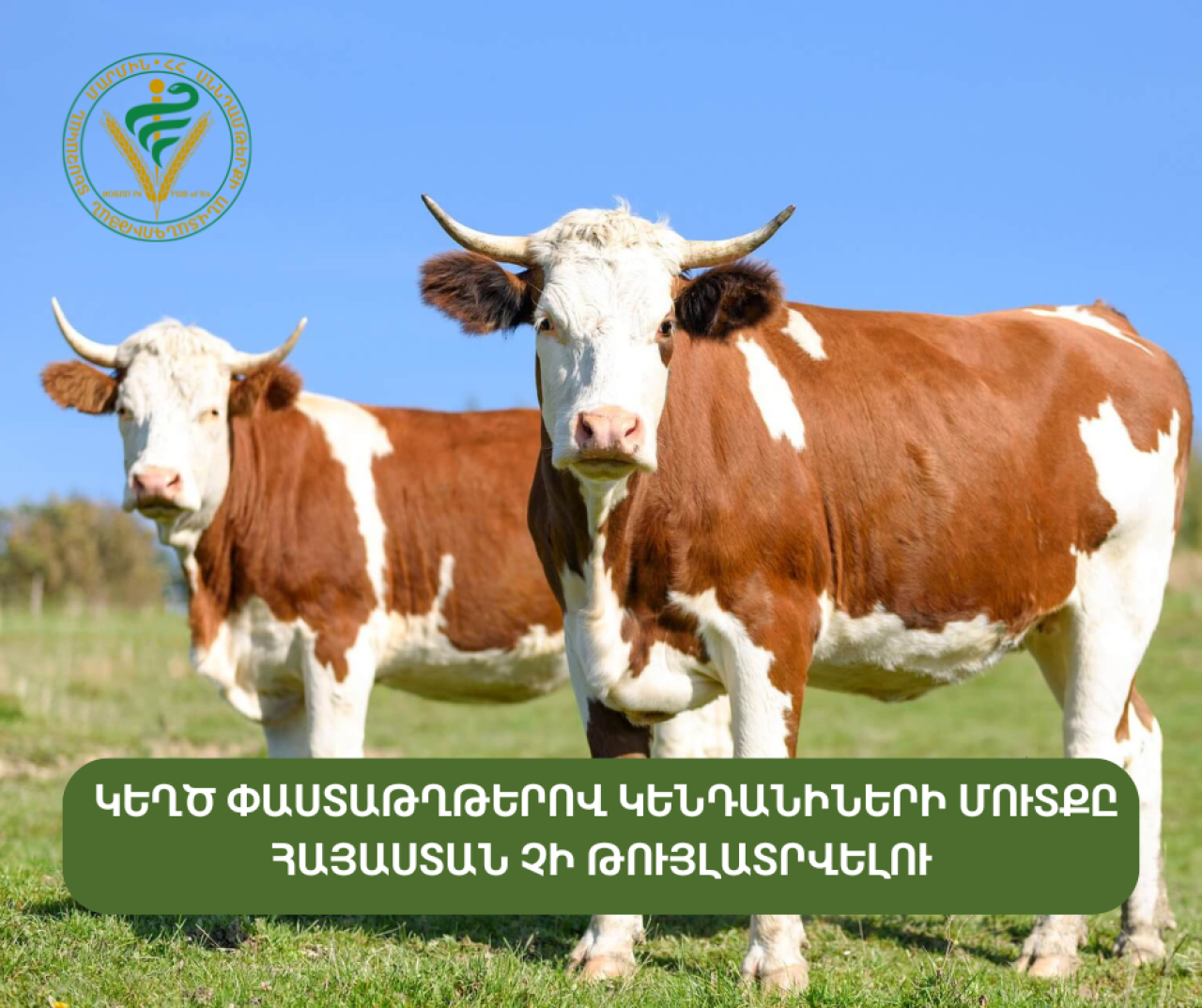 Անհայտ ծագման կենդանիների ցանկացած խմբաքանակի մուտքը Հայաստան կասեցվելու է. ՍԱՏՄ