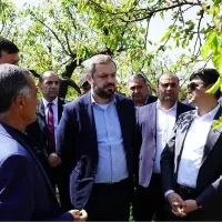 Վրաստանի գյուղատնտեսության նախարարը կայցելի Հայաստան. Պապոյան