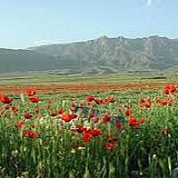 Հանրապետությունում սպասվում է առանց տեղումների եղանակ
