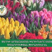 Ծաղկի արտահանման խնդիրները մեր ուշադրության կենտրոնում են. ՍԱՏՄ