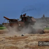 Գեղարքունիքի մարզում «Բուսաբուծության աջակցության» պետական ծրագրի շրջանակներում կատարվել է 2335,05 հեկտար գարնանացան