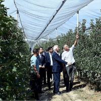 Վահագն Խաչատուրյանն այցելել է խնձորի այգիներ