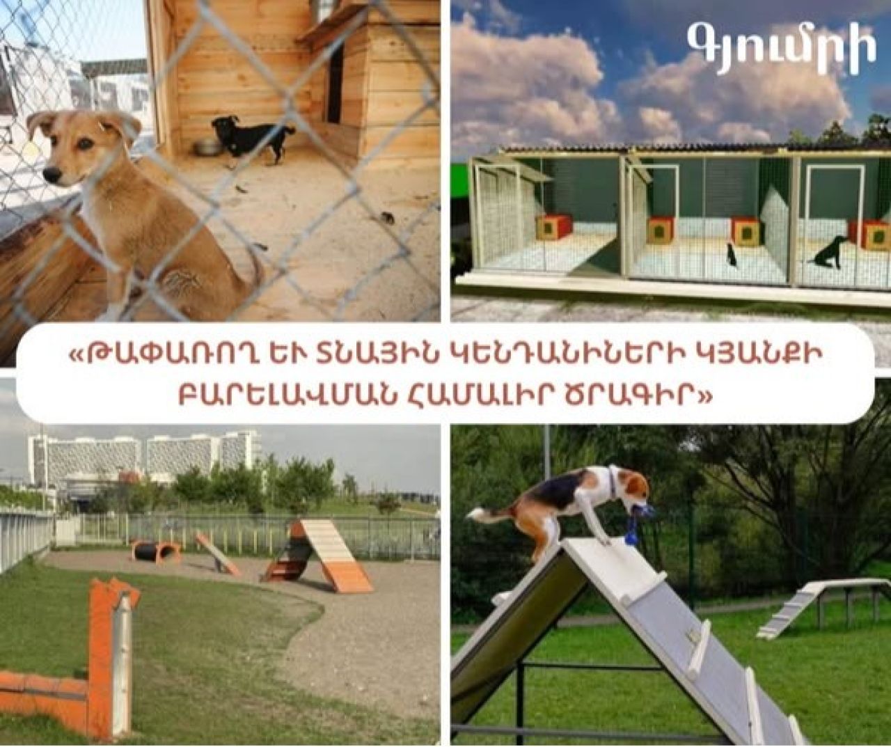 Սուբվենցիոն նոր ծրագրեր Շիրակի մարզում