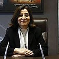 Հայաստանը կարող է դառնալ տարանցիկ կետ էներգետիկ ոլորտում. թուրք պատգամավոր