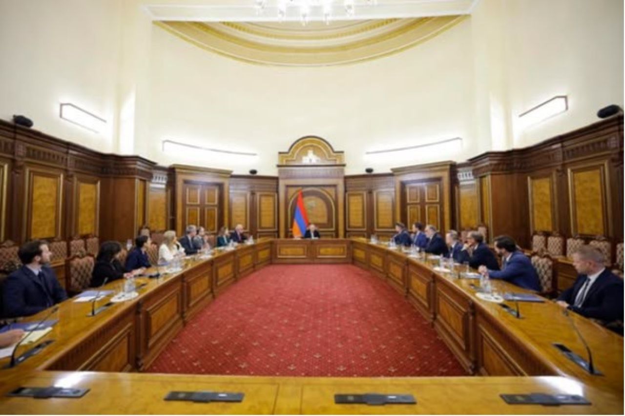 Վարչապետ Նիկոլ Փաշինյանն ընդունել է «Save Armenia»-ի ներկայացուցիչներին