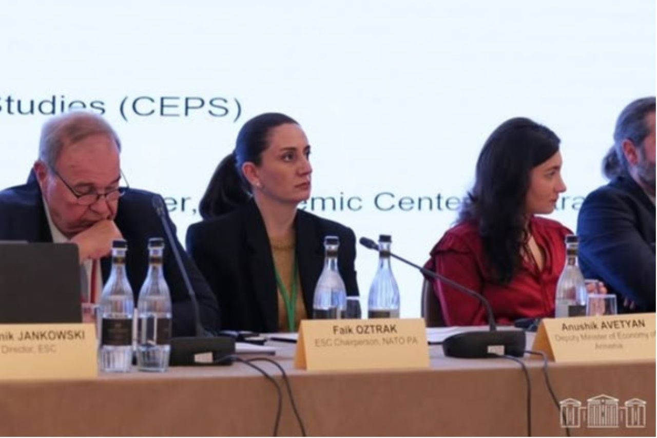 Անուշիկ Ավետյանը մասնակցել է Երևանում անցկացված ՆԱՏՕ-ի խորհրդարանական վեհաժողովի Ռոուզ-Ռոթ սեմինարին