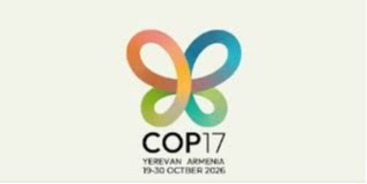 Երևանյան կապտաթիթեռը՝ CoP17-ի պաշտոնական տարբերանշանի հիմքում