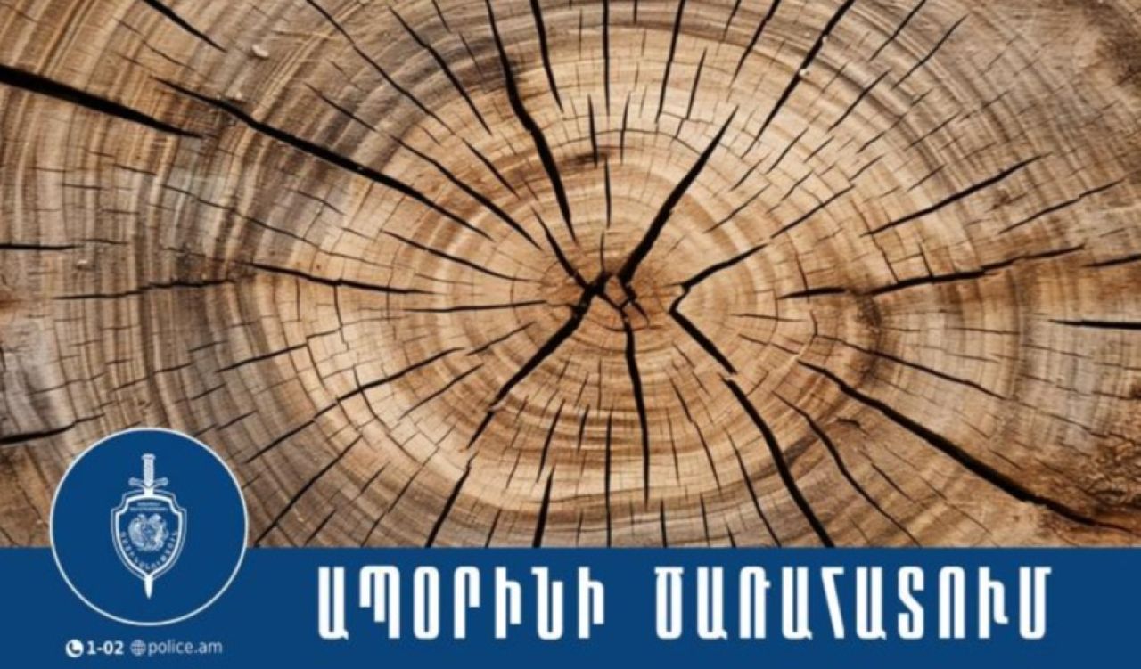 Ապօրինի ծառահատման հերթական դեպքը բացահայտել են Տաշիրի համայնքային ոստիկանները