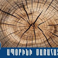 Ապօրինի ծառահատման հերթական դեպքը բացահայտել են Տաշիրի համայնքային ոստիկանները