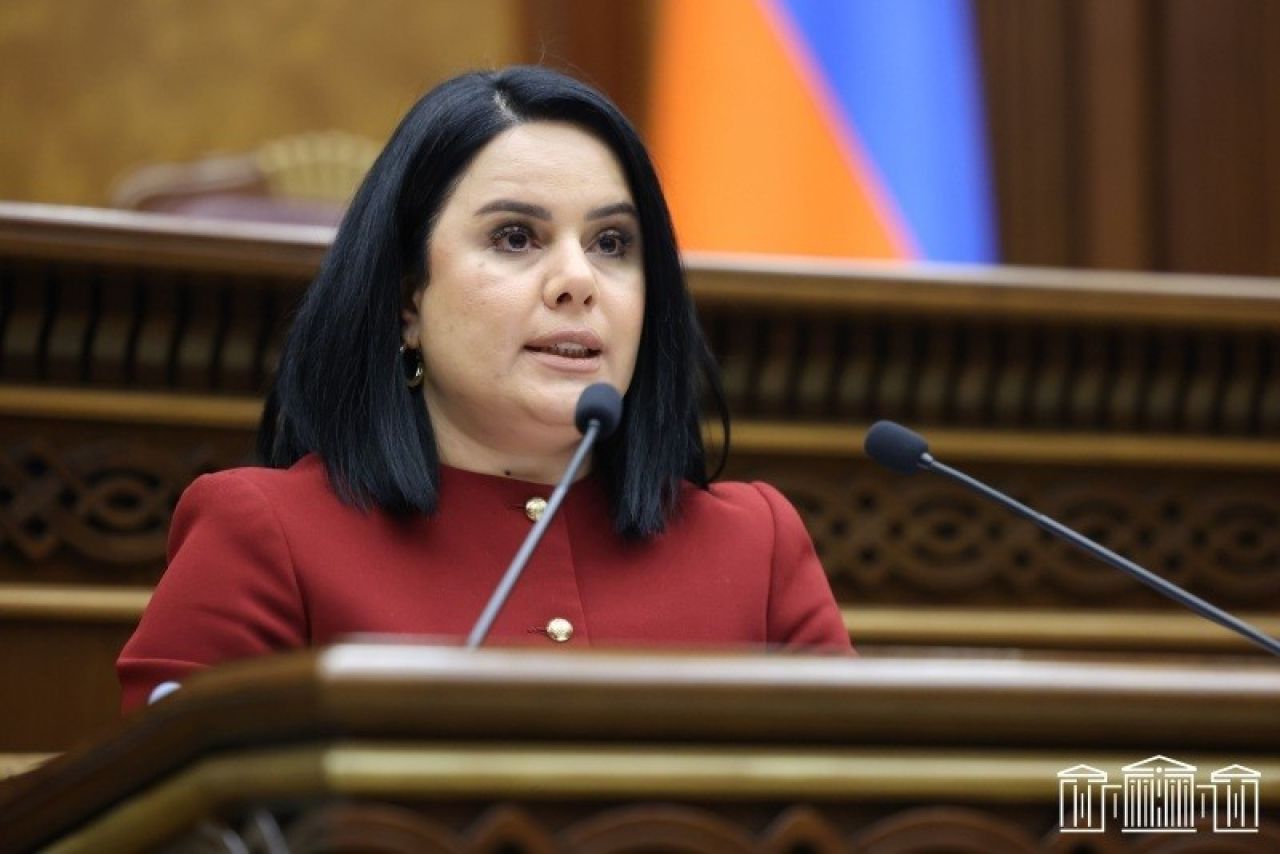 Առաջարկվում է բուսասանիտարական հսկողության ենթակա ապրանքների վարակազերծումը սահմանել որպես լիցենզավորման ենթակա գործունեության տեսակ