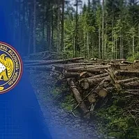 Ընկերության կողմից ոչնչացվել է 327 ծառ