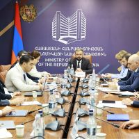 Կայացել է ՓՄՁ զարգացման ենթախորհրդի հերթական նիստը