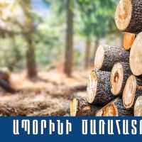 Անտառապետը ձերբակալվել և ներկայացվել է նախաքննական մարմին. ոստիկանների բացահայտումը