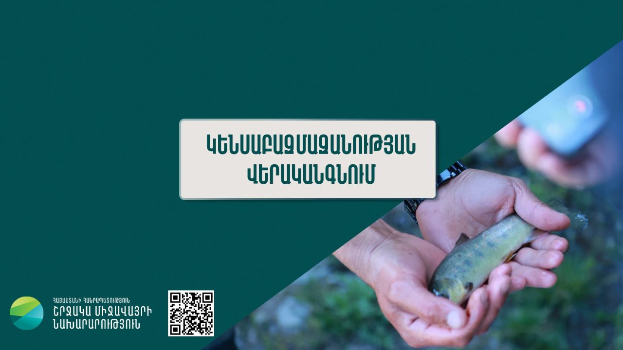 Նախատեսվում է ընդլայնել բնական էկոհամակարգերի և կենսաբազմազանության վերականգնման ծրագրերը. ՇՄՆ