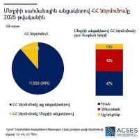 ACSES. Մեղրիի սահմանային անցակետով ՀՀ ներմուծումը 2025 թվականին