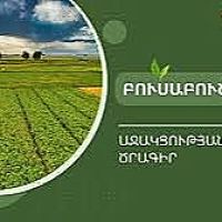 Բուսաբուծության աջակցության ծրագրով կփոխհատուցվի մեկ հեկտարի հաշվով ծախսերի 50 տոկոսը. Գևորգ Պապոյան