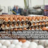 Ամփոփվել է ձվի արտադրության և իրացման շուկայում անցկացված վերահսկողության արդյունքների մի մասը․ ՍԱՏՄ