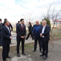 Շիրակում լայնածավալ անտառվերականգնում է մեկնարկում․ Գյումրիում՝ 95 հա