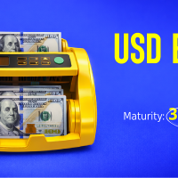 Unibank issues USD bonds with a 5.6% yield