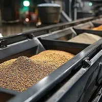 2025 թվականին պարենի համաշխարհային արտադրությունն աճել է 2,9%-ով