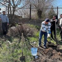 Էկոնոմիկայի նախարարության և ԱԶԲ-ի համատեղ ծրագրով շարունակվում են տնկիների տրամադրման և ծառատնկման աշխատանքները