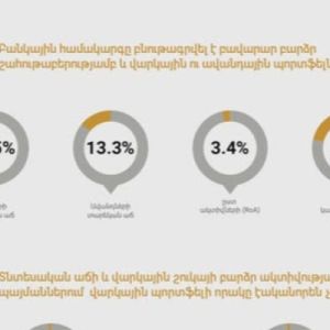 ԿԲ-ն հրապարակել է մի քանի փաստ «Ֆինանսական կայունության հաշվետվություն 2025»-ից