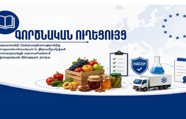 Արտահանում դեպի ԵՄ․ գործնական ուղեցույց