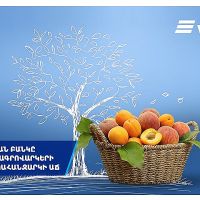 ՎՏԲ-Հայաստան Բանկը գրանցում է ագրովարկավորման նկատմամբ պահանջարկի աճ