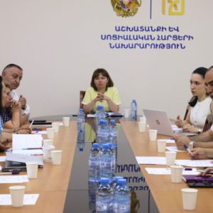 Տեղի է ունեցել տարեցների հիմնախնդիրներով զբաղվող միջգերատեսչական հանձնաժողովի նիստըԱշխատանքի և սոցիալական հարցերի նախարարությունում տեղի է ունեցել տարեցների հիմ