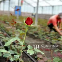 Ջերմատնային տնտեսությունների աջակցության ծրագրով ջերմատան կառուցման ժամկետը նախատեսվում է երկարացնել մինչև 2 տարի