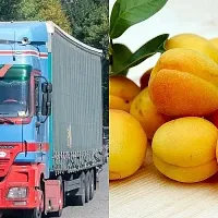 ՀՀ-ից Իսպանիա ծիրան դեռ չի արտահանվել. Էկոնոմիկայի փոխնախարարն անդրադարձել է համացանցի քննարկումներին