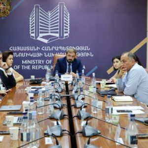 Պապոյանը մասնակցել է ՓՄՁ զարգացման ենթախորհրդի նիստին. քննարկվել է 2026-2030 թթ. ռազմավարական ծրագրի նախագիծը