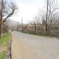 Թագուհի Թովմասյանն արձագանքել է «Մետալ Գոլդ»-ի նախաձեռնած հանրային քննարկումներին