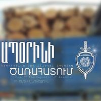 Գուգարքի ոստիկանները ապօրինի ծառահատման դեպք են բացահայտել